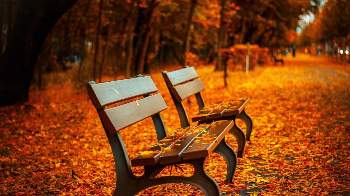 chaise ordinateur